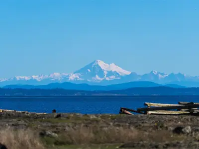 View 53