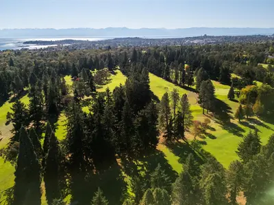 View 73