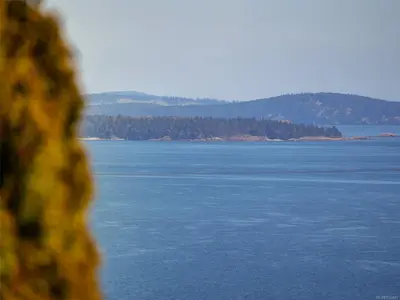View 38