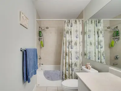 View 24