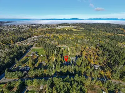 View 53