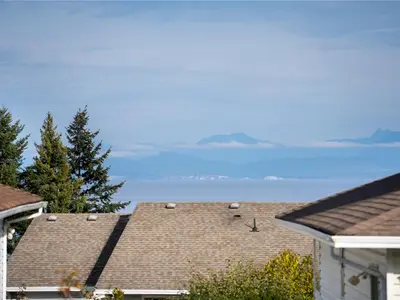 View 42