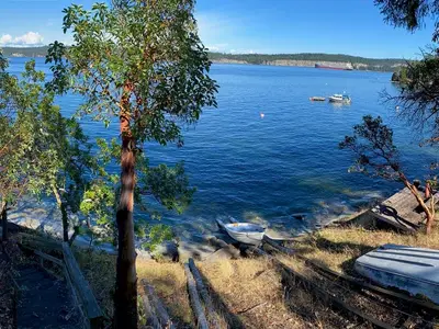 View 6