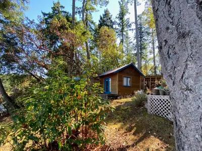 View 12