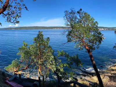 View 3