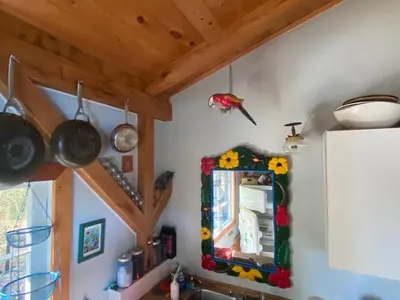 View 10