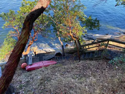 View 8