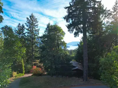 View 59