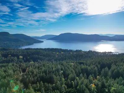 View 60