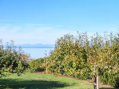 View 33