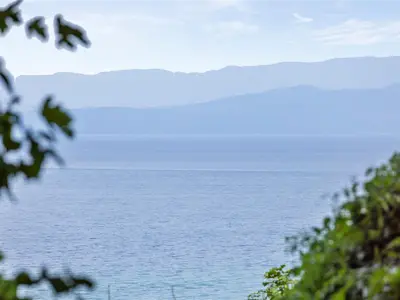 View 47
