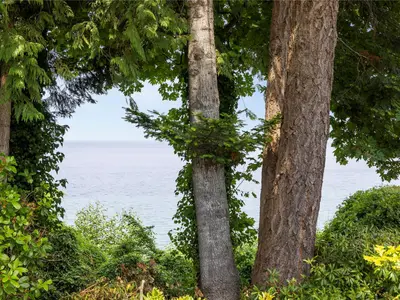 View 57