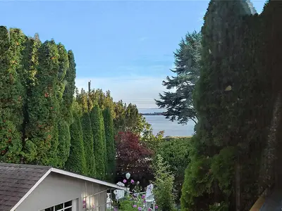 View 14