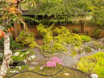 View 52