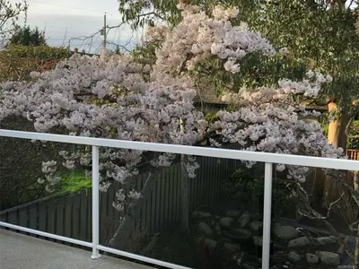 View 31