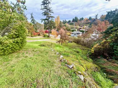 View 38