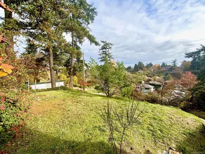 View 39
