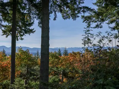View 70
