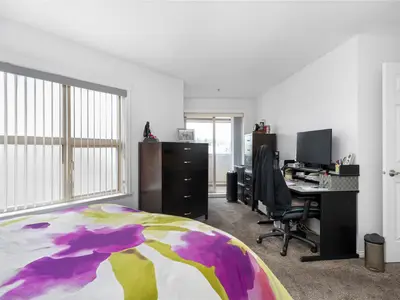View 12