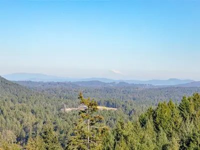 View 30