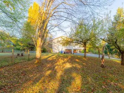 View 60