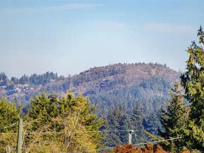 View 24
