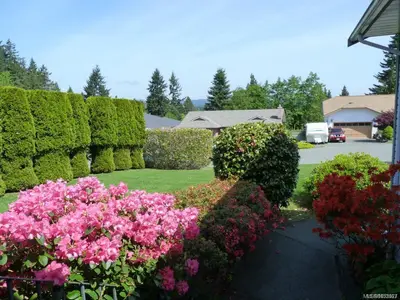 View 38
