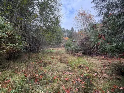 View 23