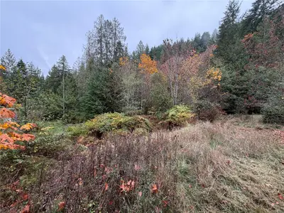 View 24