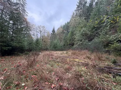 View 18