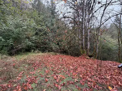 View 15