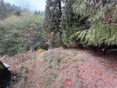 View 19