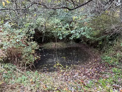 View 25