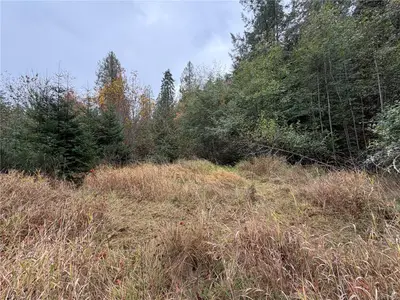 View 21