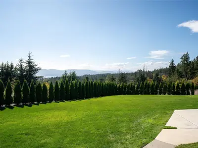 View 51