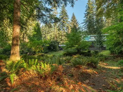 View 51