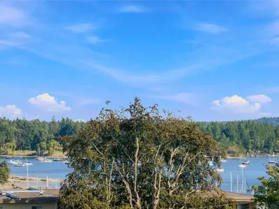 View 15