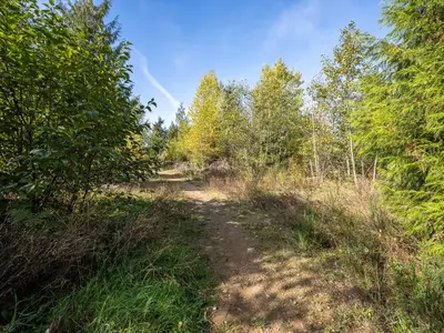 View 85