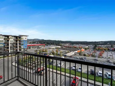 View 25