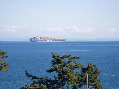 View 19