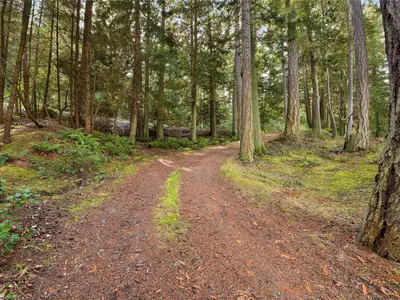View 23