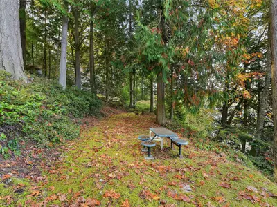 View 27