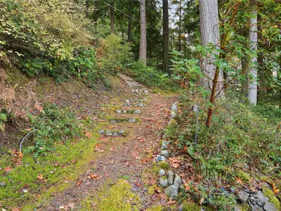 View 32