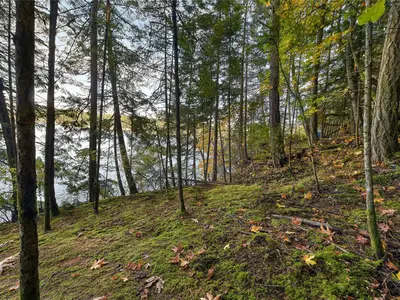 View 34