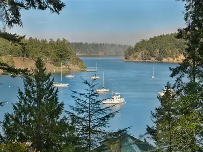 View 41