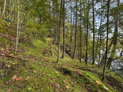 View 35