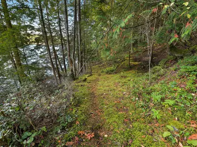 View 31