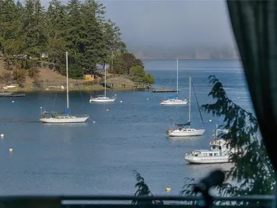 View 39