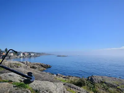 View 79
