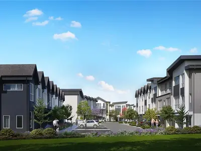 View 24